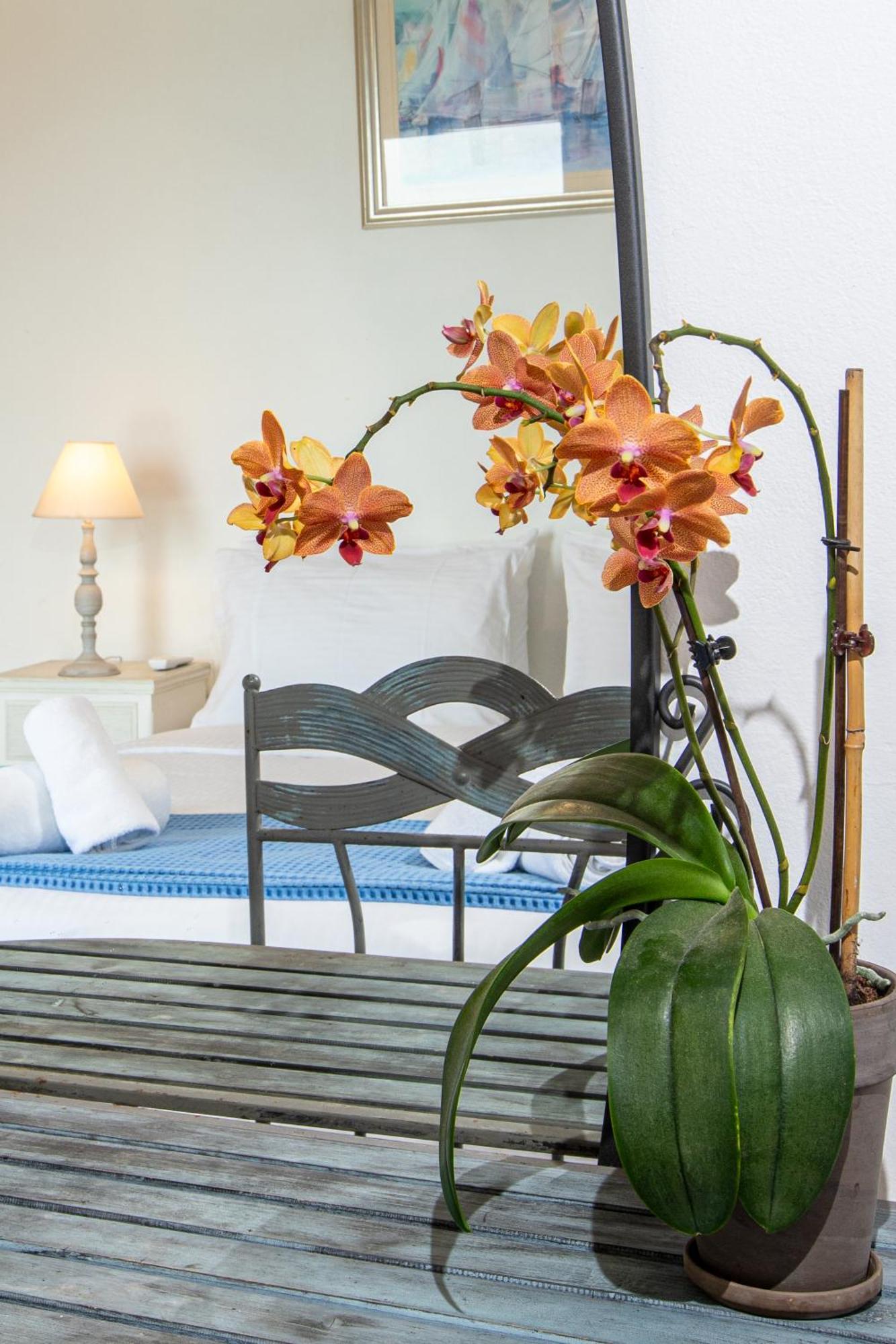 Dimitra Apartment With Private Pool And Sea View -The Ground Floor Of A Two Storey Building Daratsos Exteriör bild